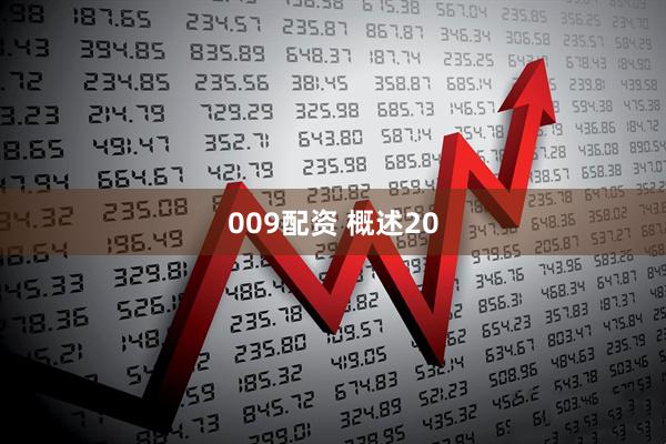 009配资 概述20
