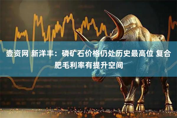 壹资网 新洋丰：磷矿石价格仍处历史最高位 复合肥毛利率有提升空间