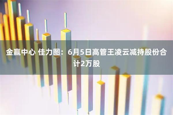 金赢中心 佳力图：6月5日高管王凌云减持股份合计2万股