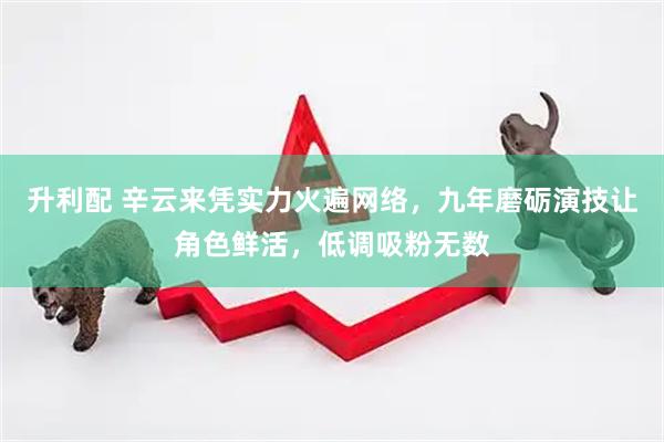 升利配 辛云来凭实力火遍网络，九年磨砺演技让角色鲜活，低调吸粉无数