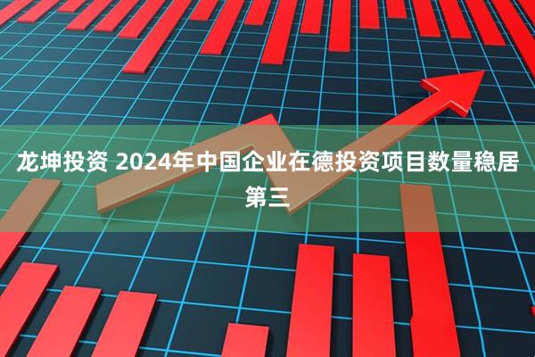 龙坤投资 2024年中国企业在德投资项目数量稳居第三