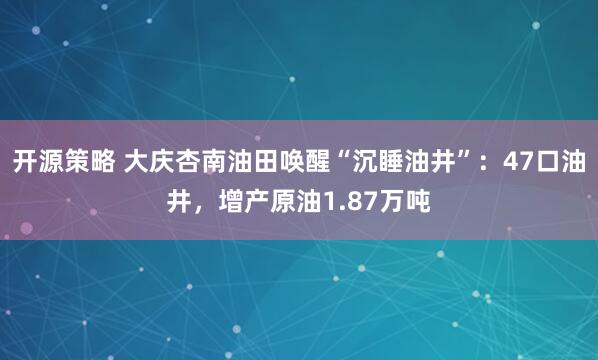 开源策略 大庆杏南油田唤醒“沉睡油井”：47口油井，增产原油1.87万吨