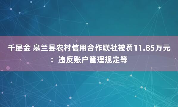 千层金 皋兰县农村信用合作联社被罚11.85万元：违反账户管理规定等