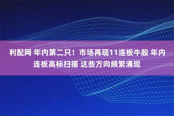 利配网 年内第二只！市场再现11连板牛股 年内连板高标扫描 这些方向频繁涌现