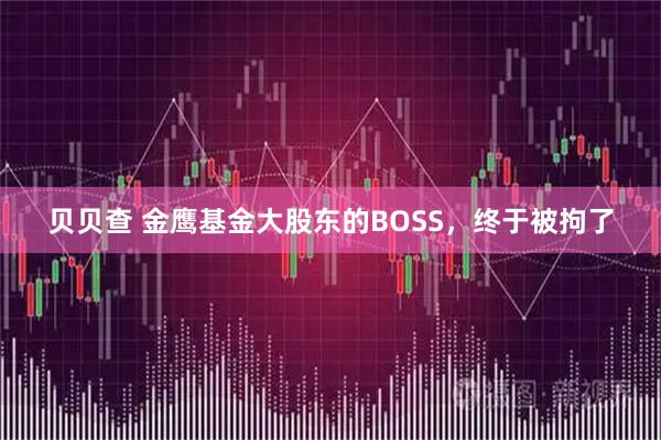 贝贝查 金鹰基金大股东的BOSS,终于被拘了